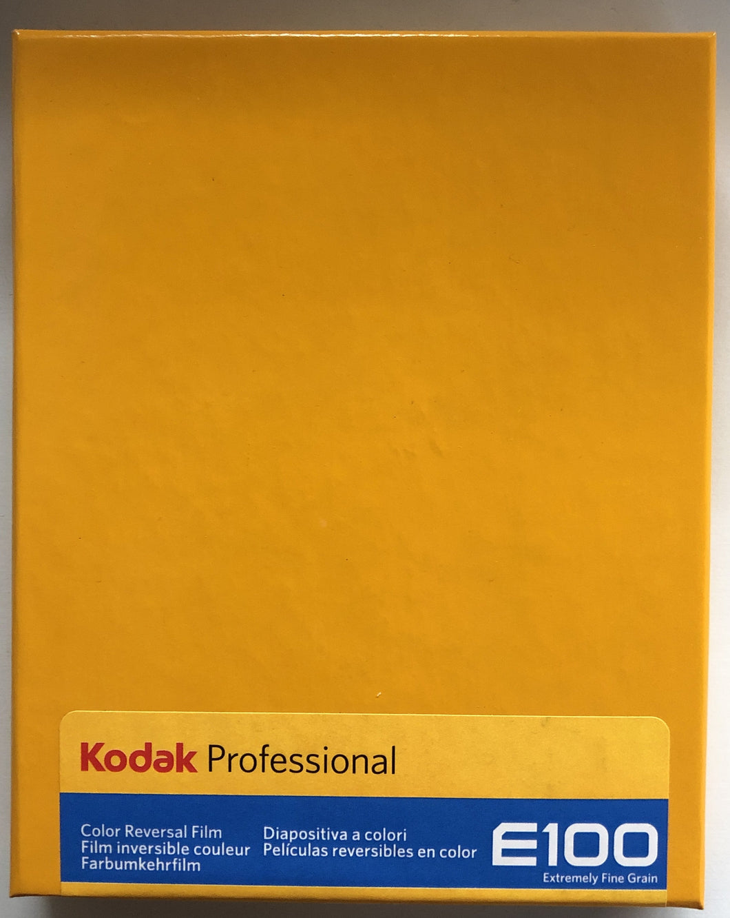 Kodak Ektachrome E100 4x5 (10 sheets)